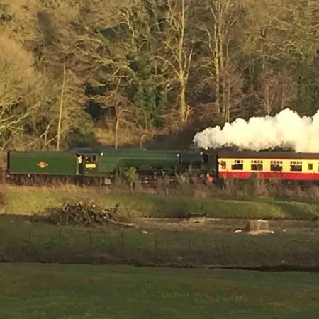 Town Apartment, Parking, Dog Friendly, Holiday home *